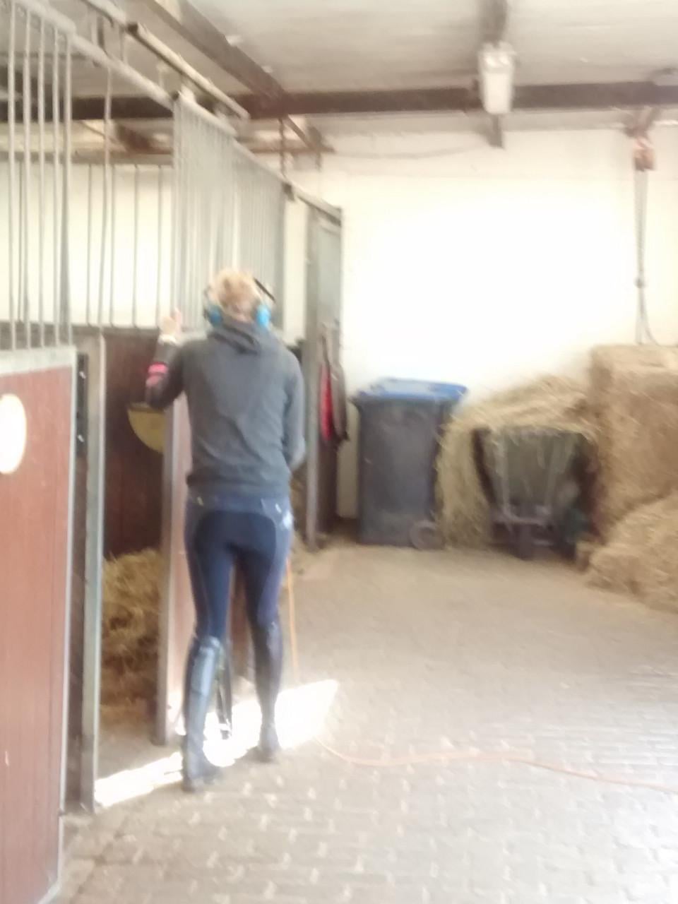 Paardenbox te huur Wolphaartsdijk
