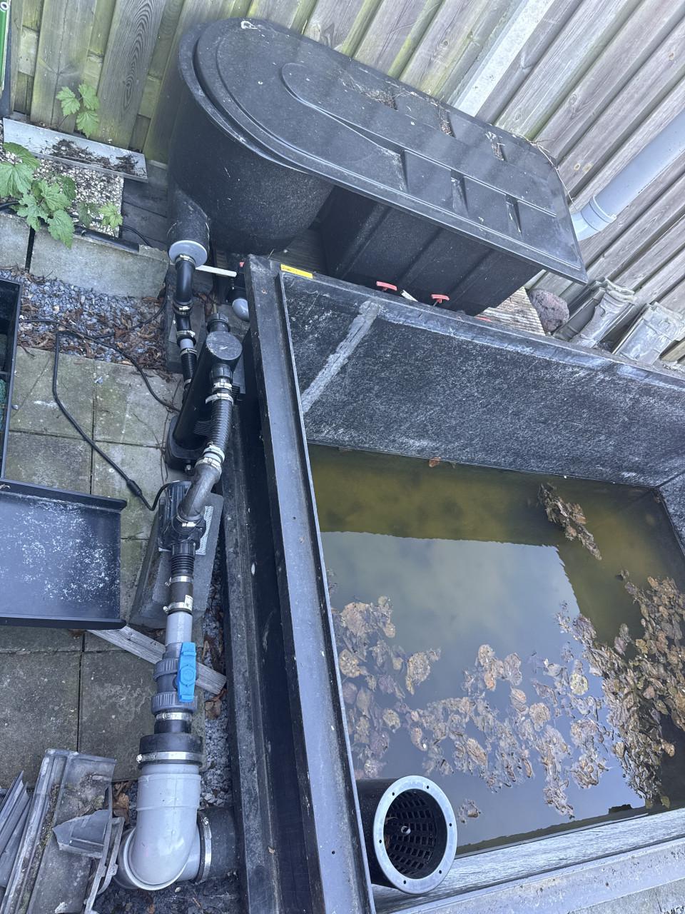 Vijver gratis afhalen