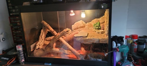 Terrarium 100x50x70 met baardagaam