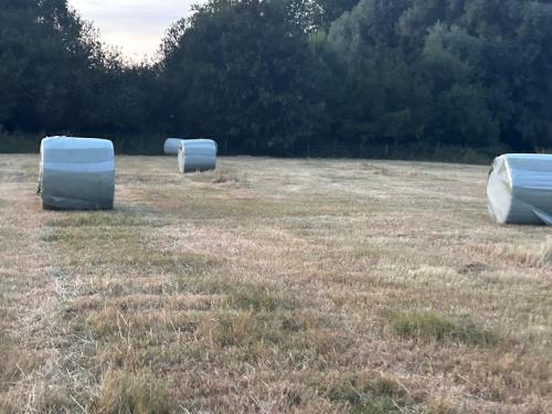 Grote ronde balen natuurhooi 1e snede laag eiwt schoon, in folie gewikkeld.