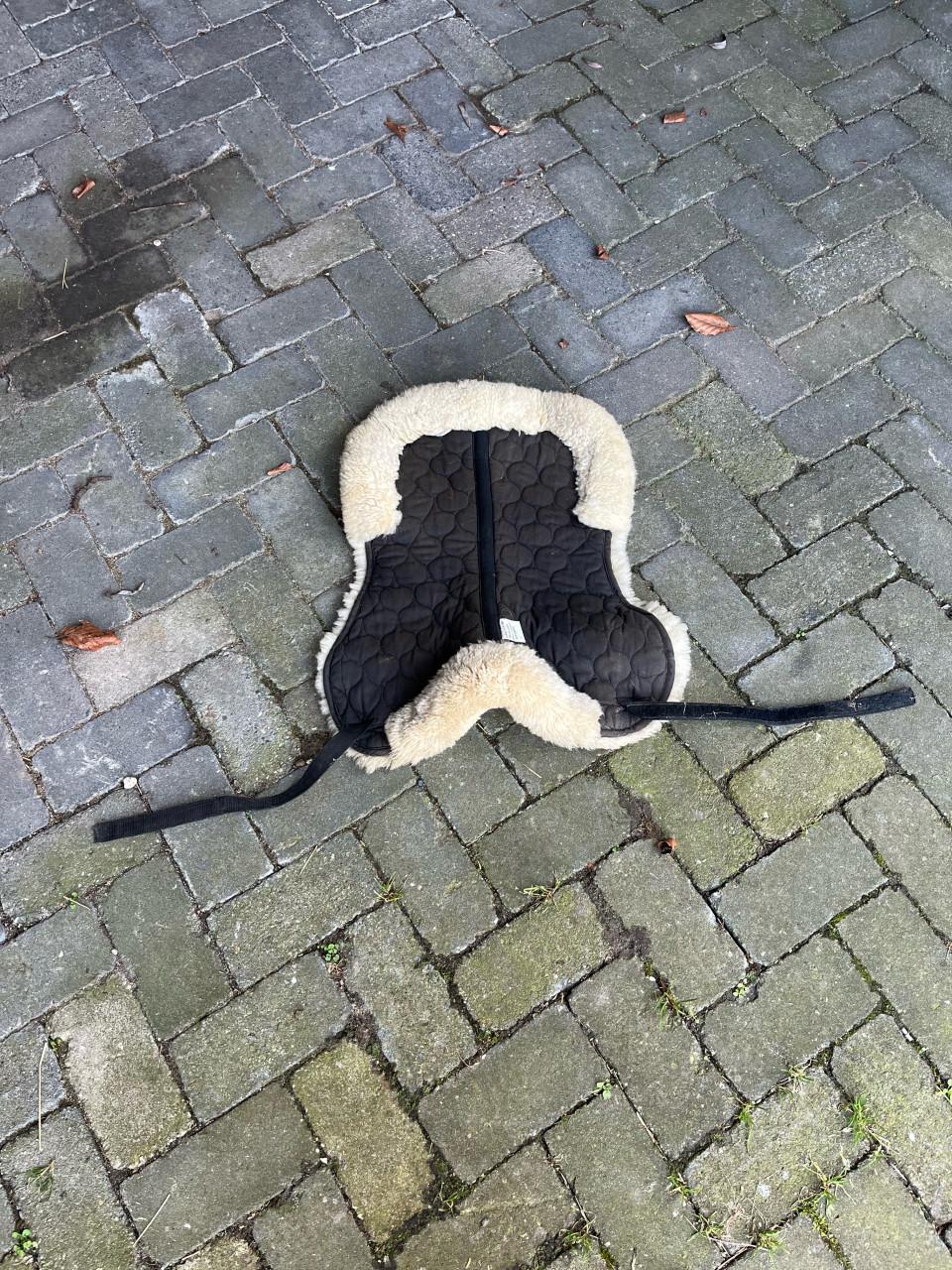 Zadelbontje maat full