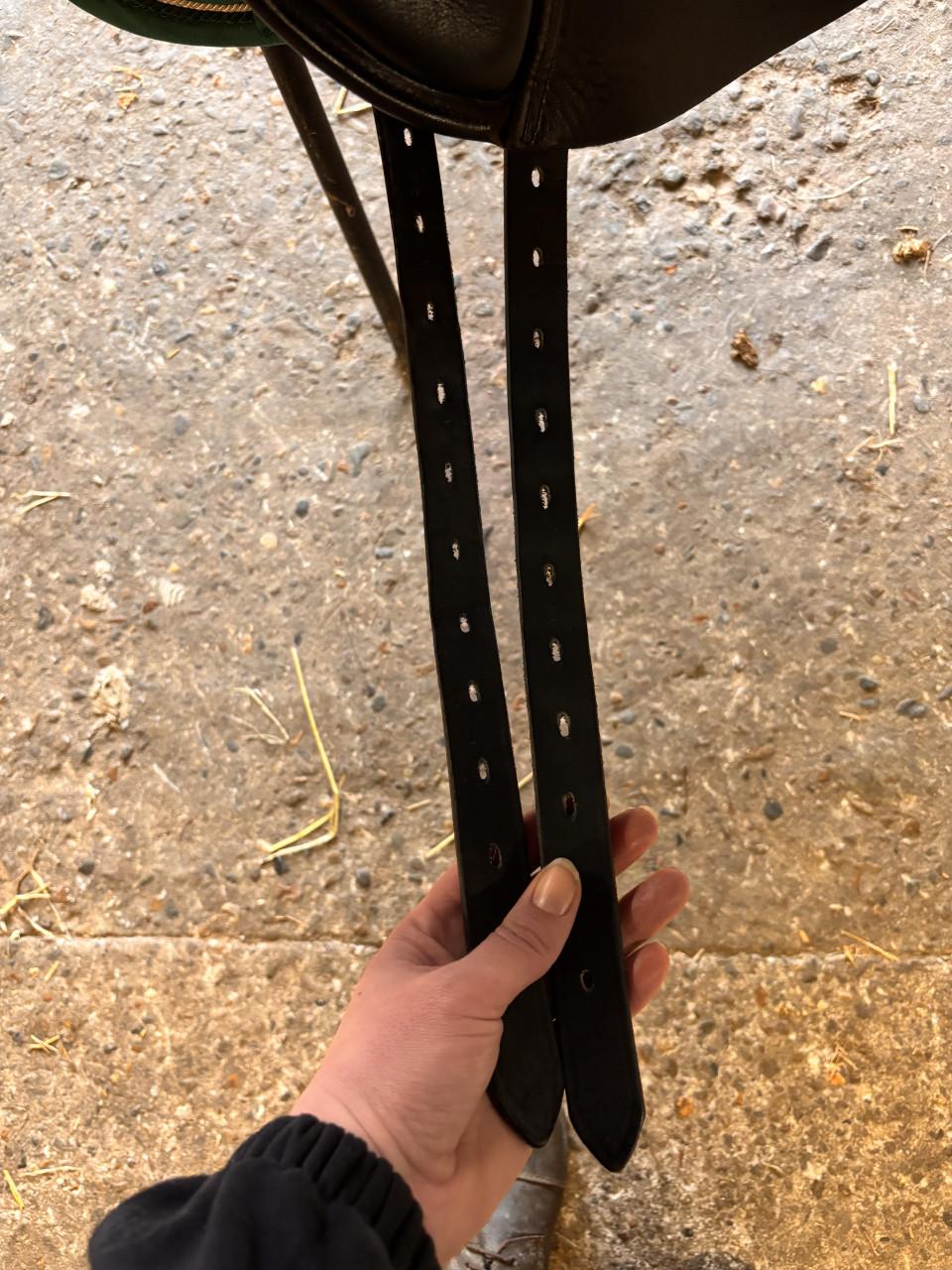 Anatomica Cygnus dressuurzadal