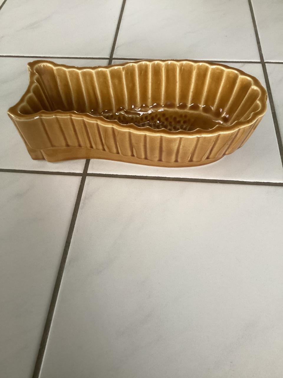 Ovenschaal in de vorm van een vis