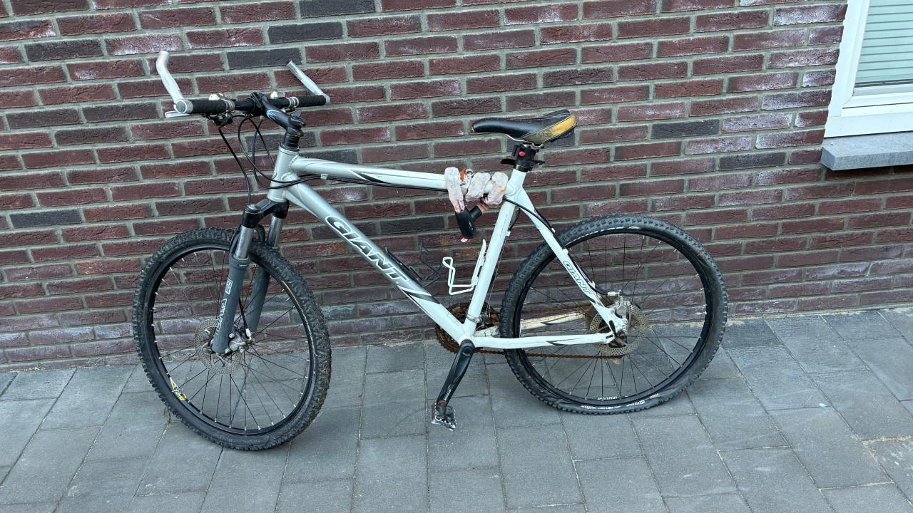Opknappers! dames, heren, mountain, vouw