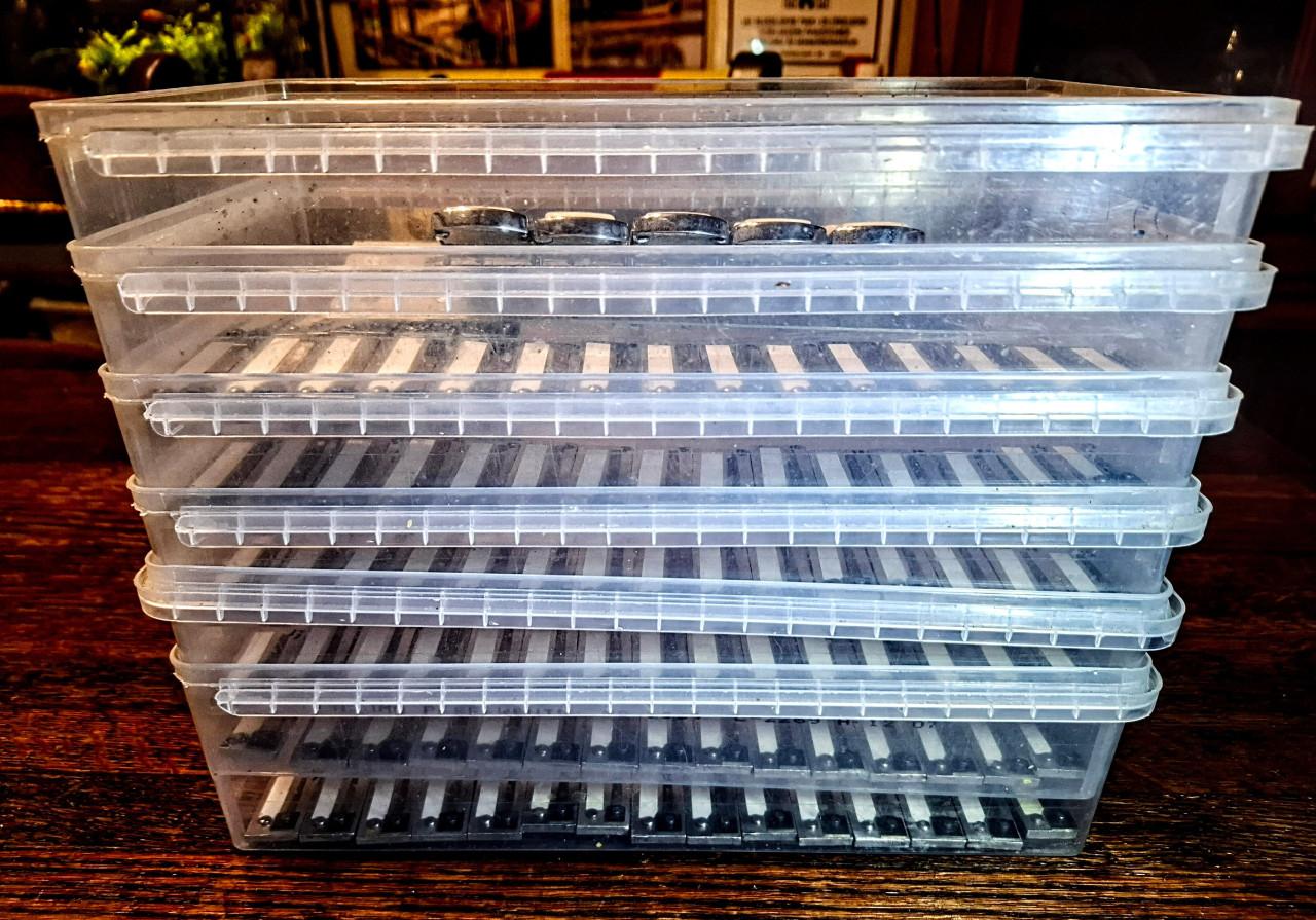 Accordion Accordiola Mignon 80 bas