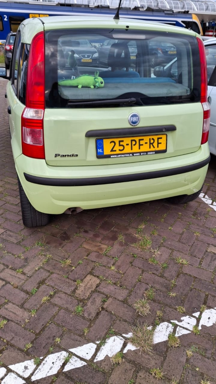 Fiat panda 1.2 dynamic groen