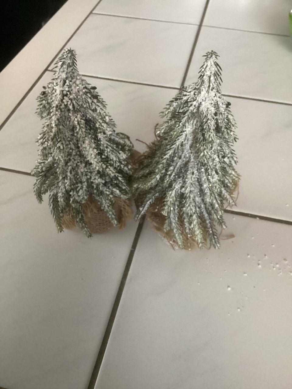 2 besneeuwde kerstboompjes