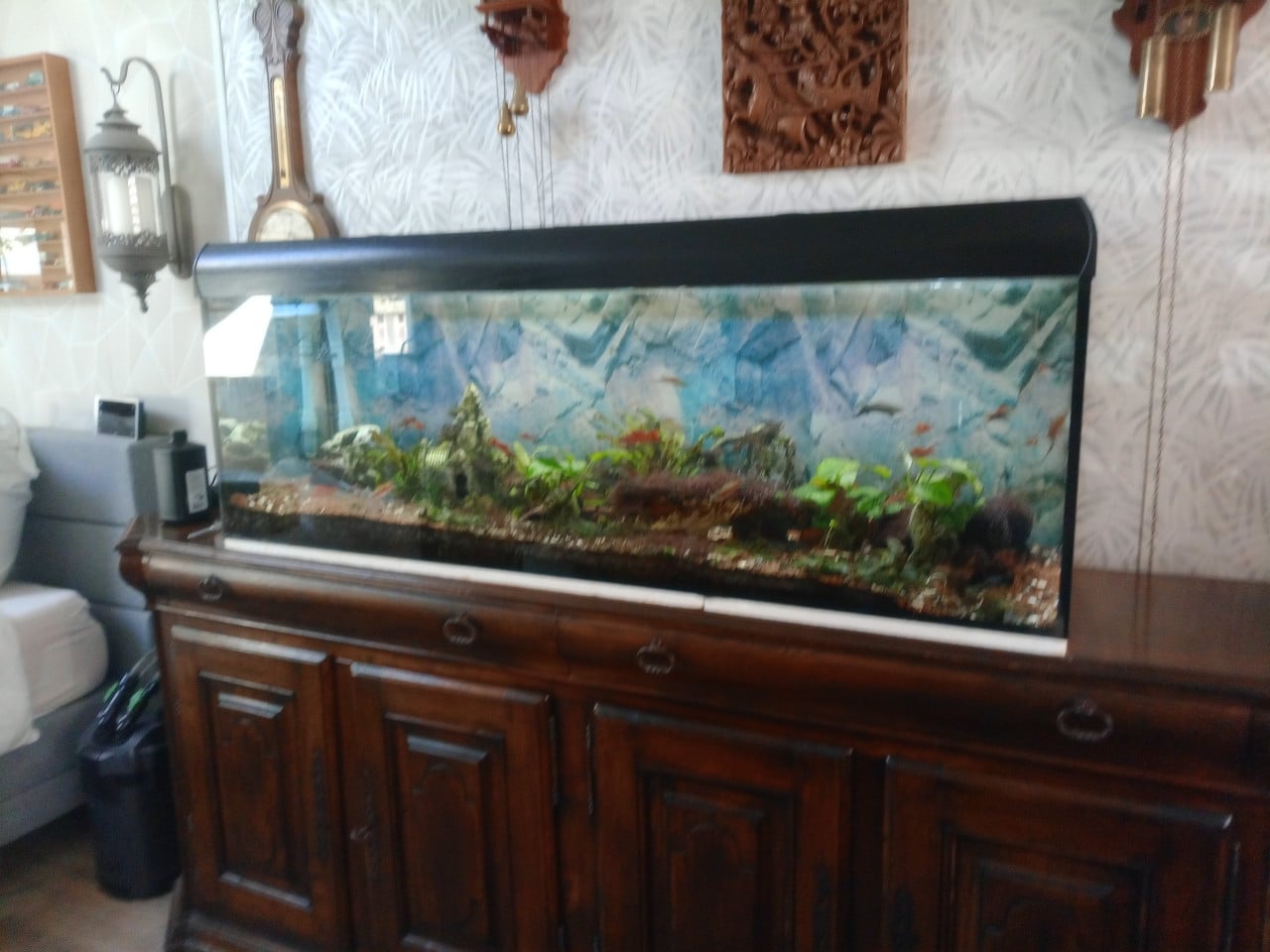Aquarium 150x50x50 cm