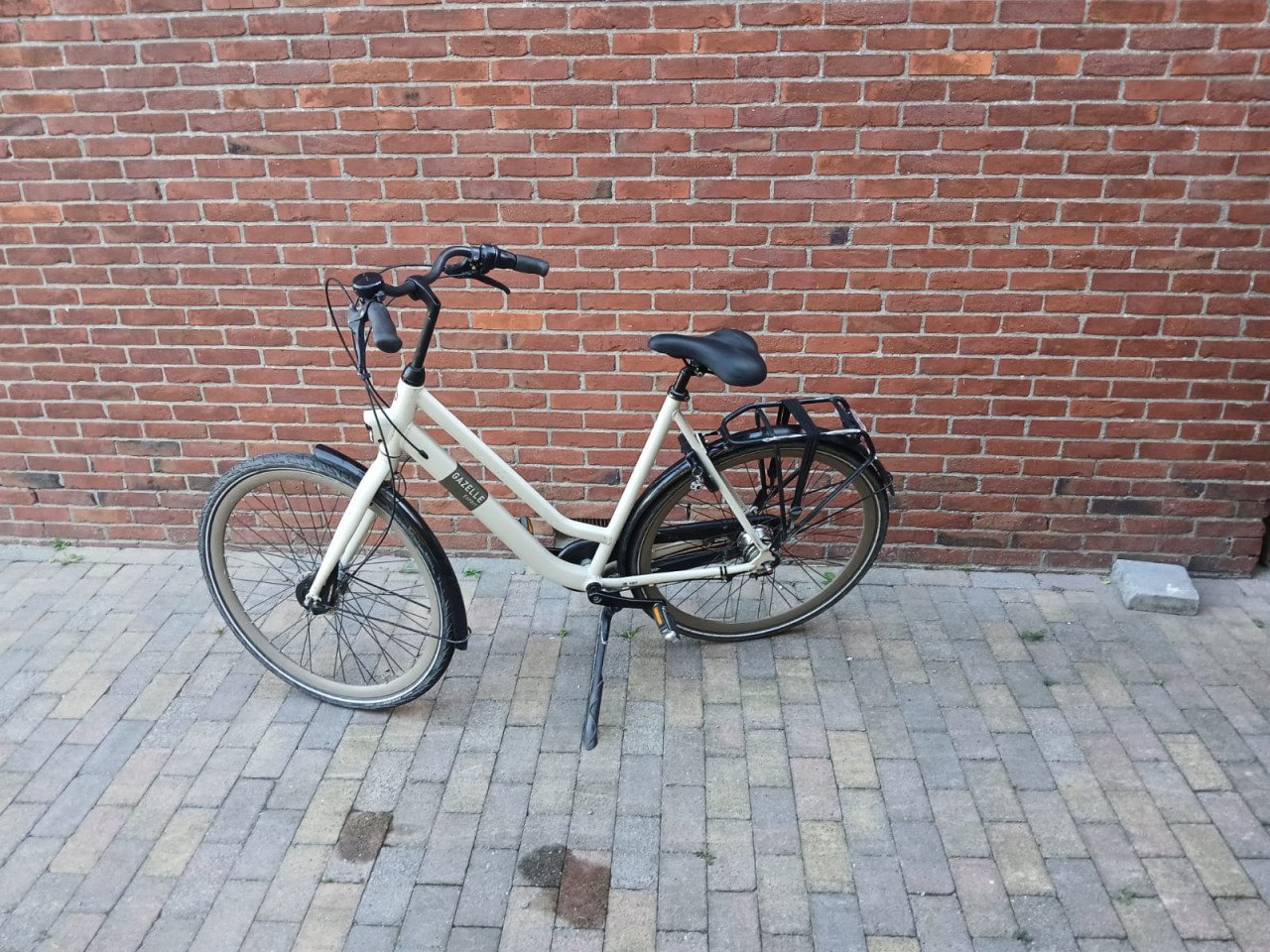 Gazelle esprit