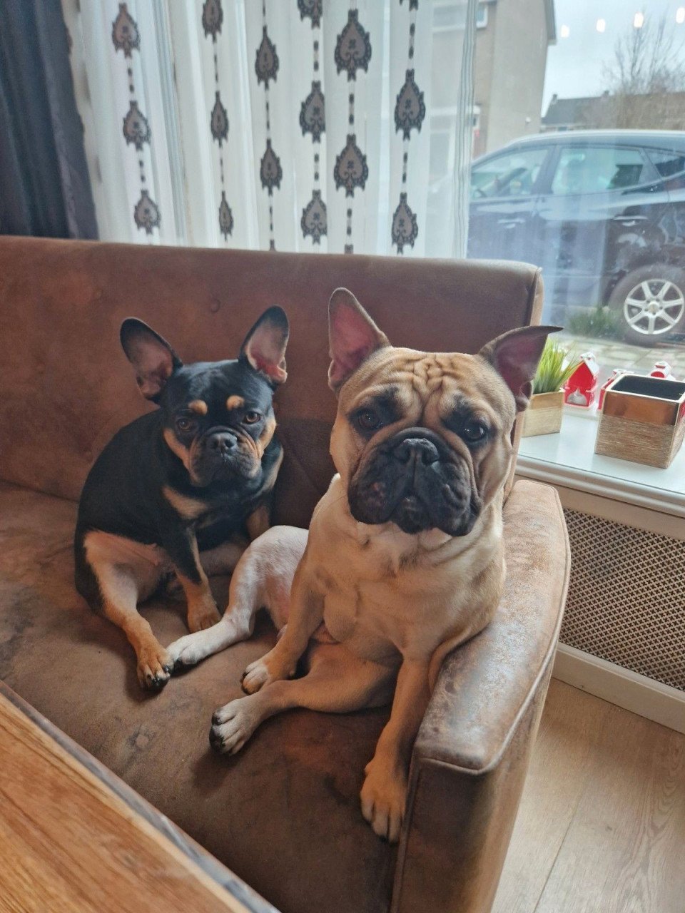 Te koop