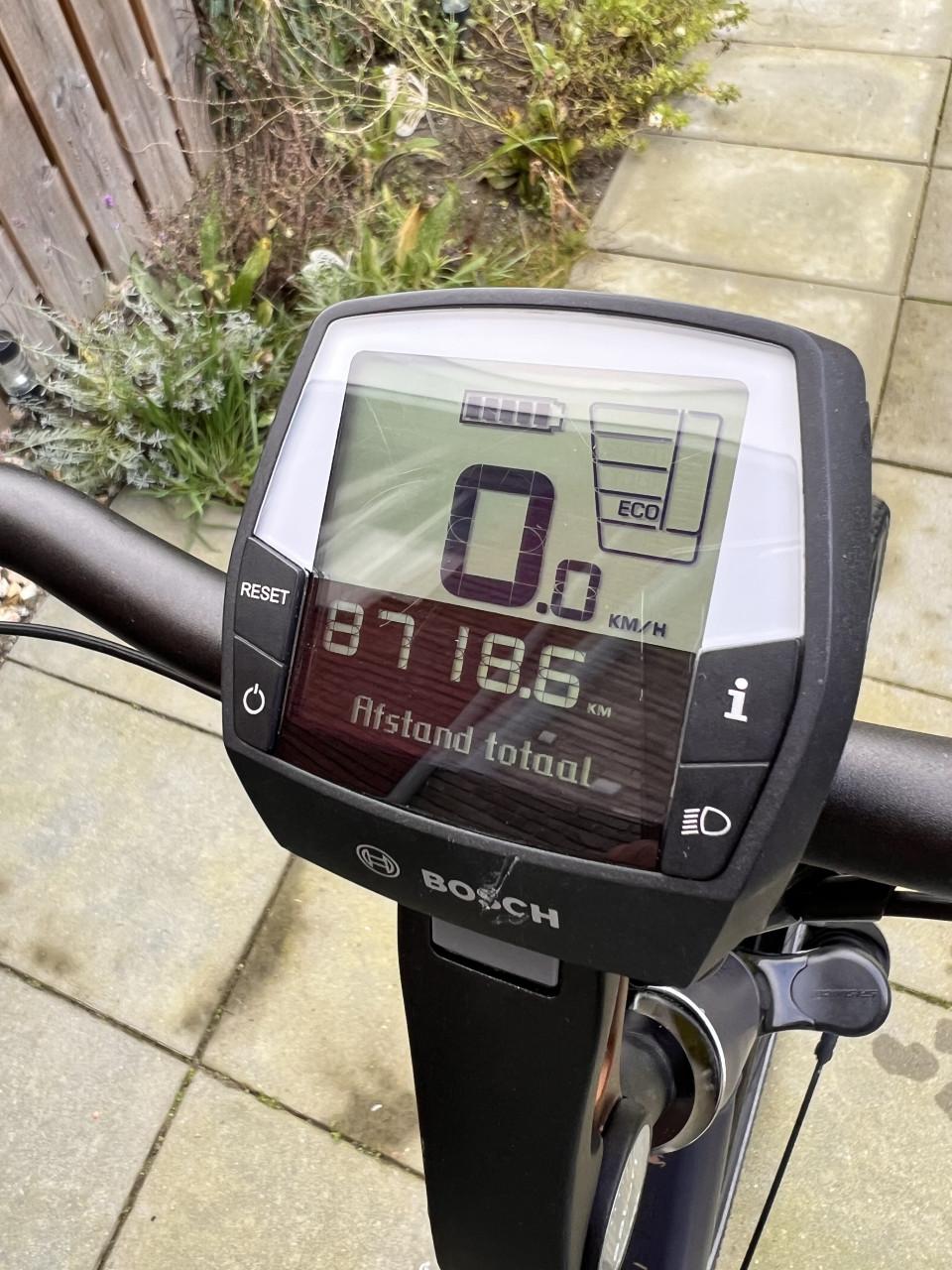 Pegasus Siena E7F Plus Belt