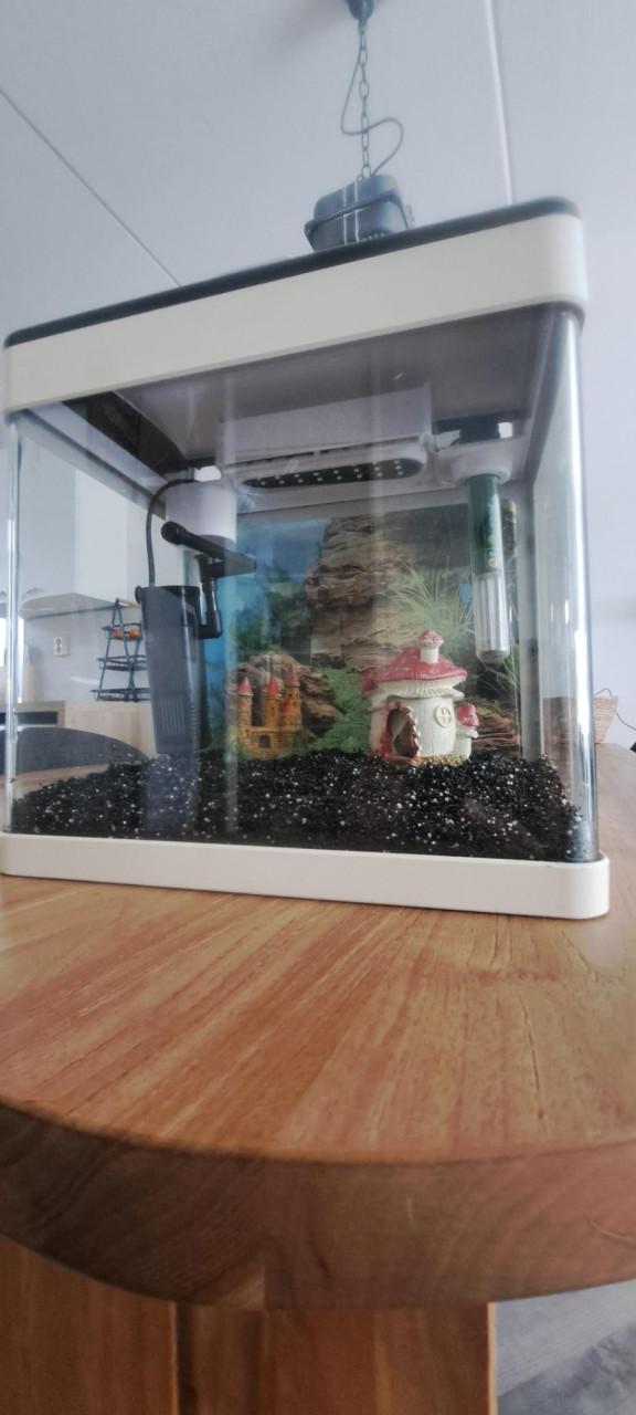 Aquarium
