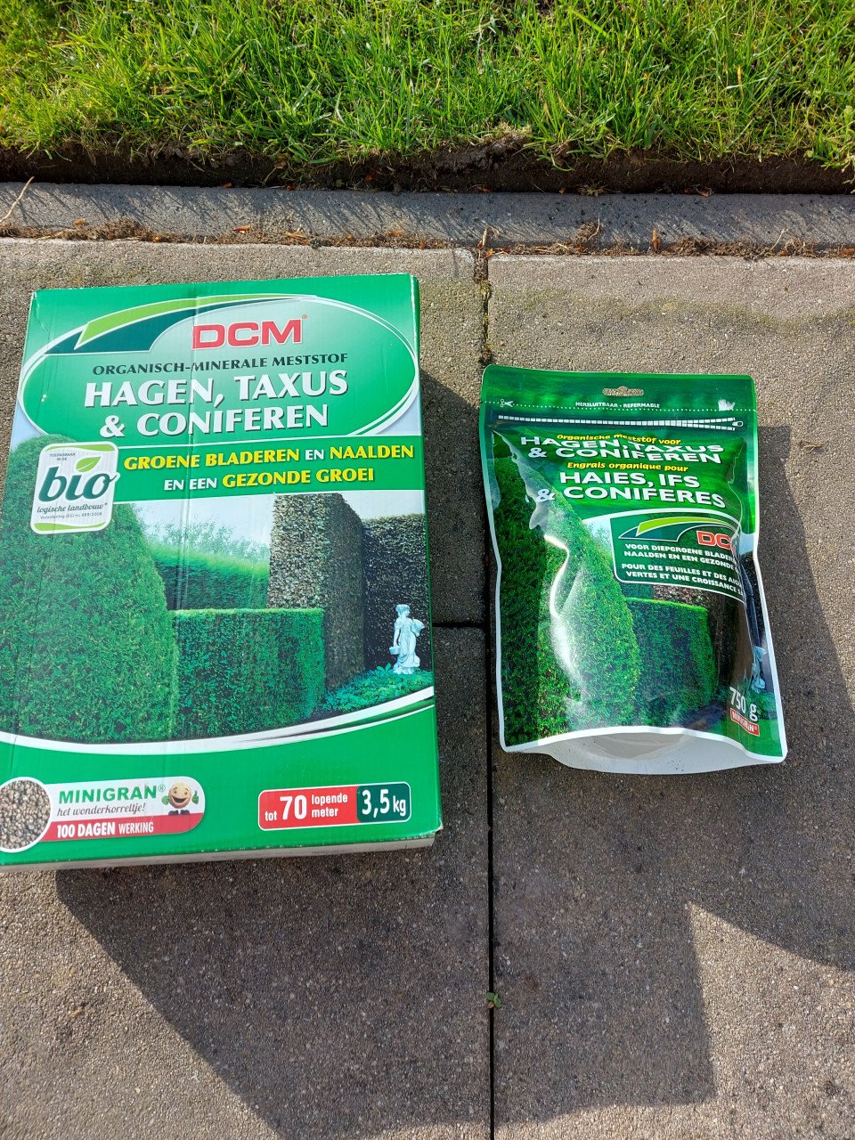 Bemesting voor hagen, taxus, coniferen