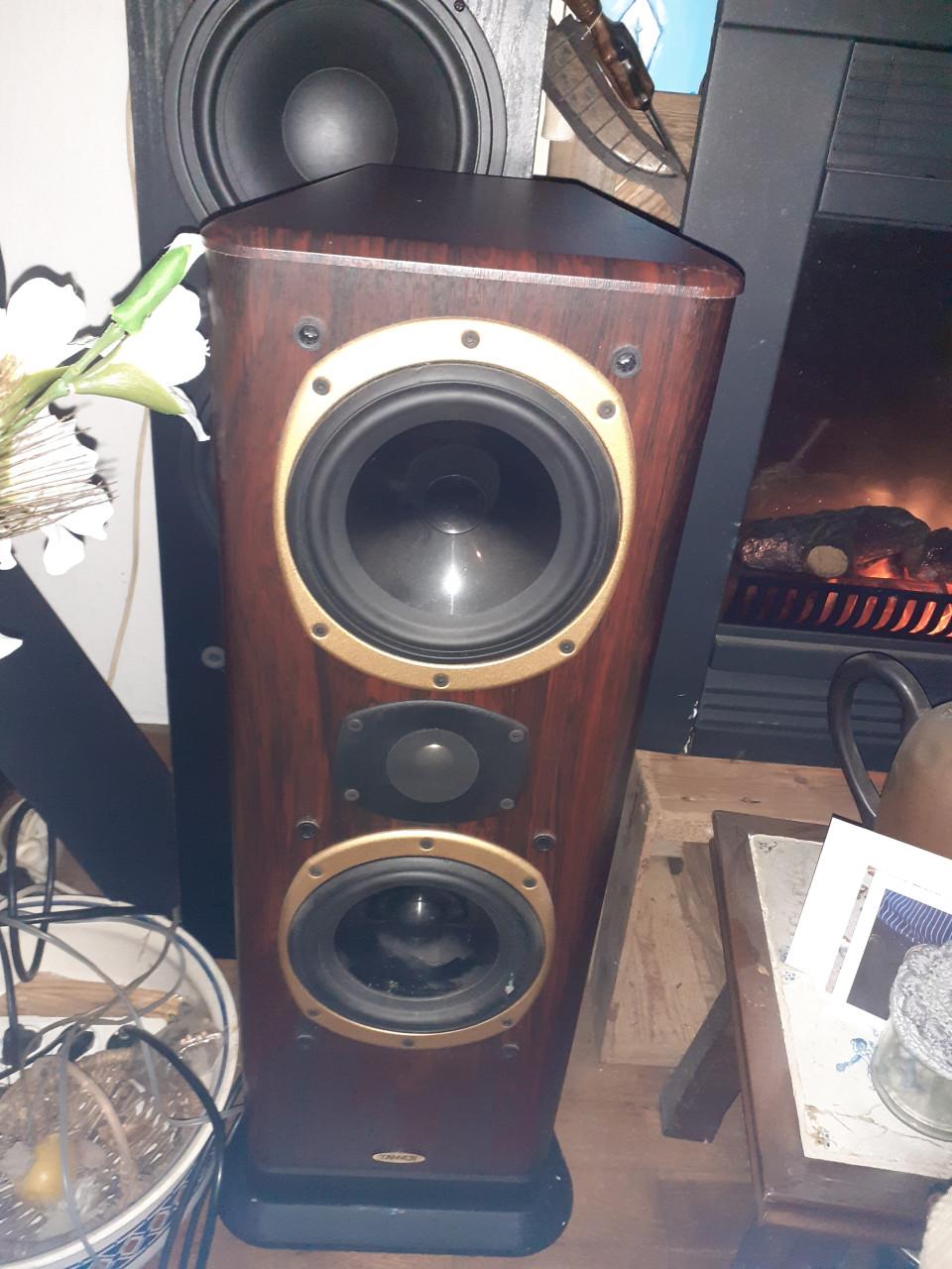 2 x Grote Speakers OMNI-Audio - 200Watt & 1 x DEVINE & TANNOY