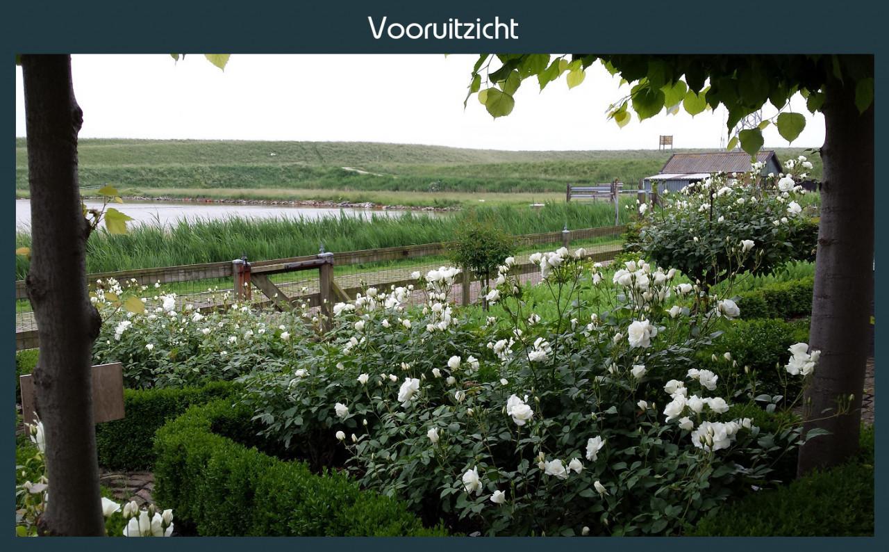 Vakantiewoning Deltahof, Zuid-Beveland, Ellewoutsdijk.