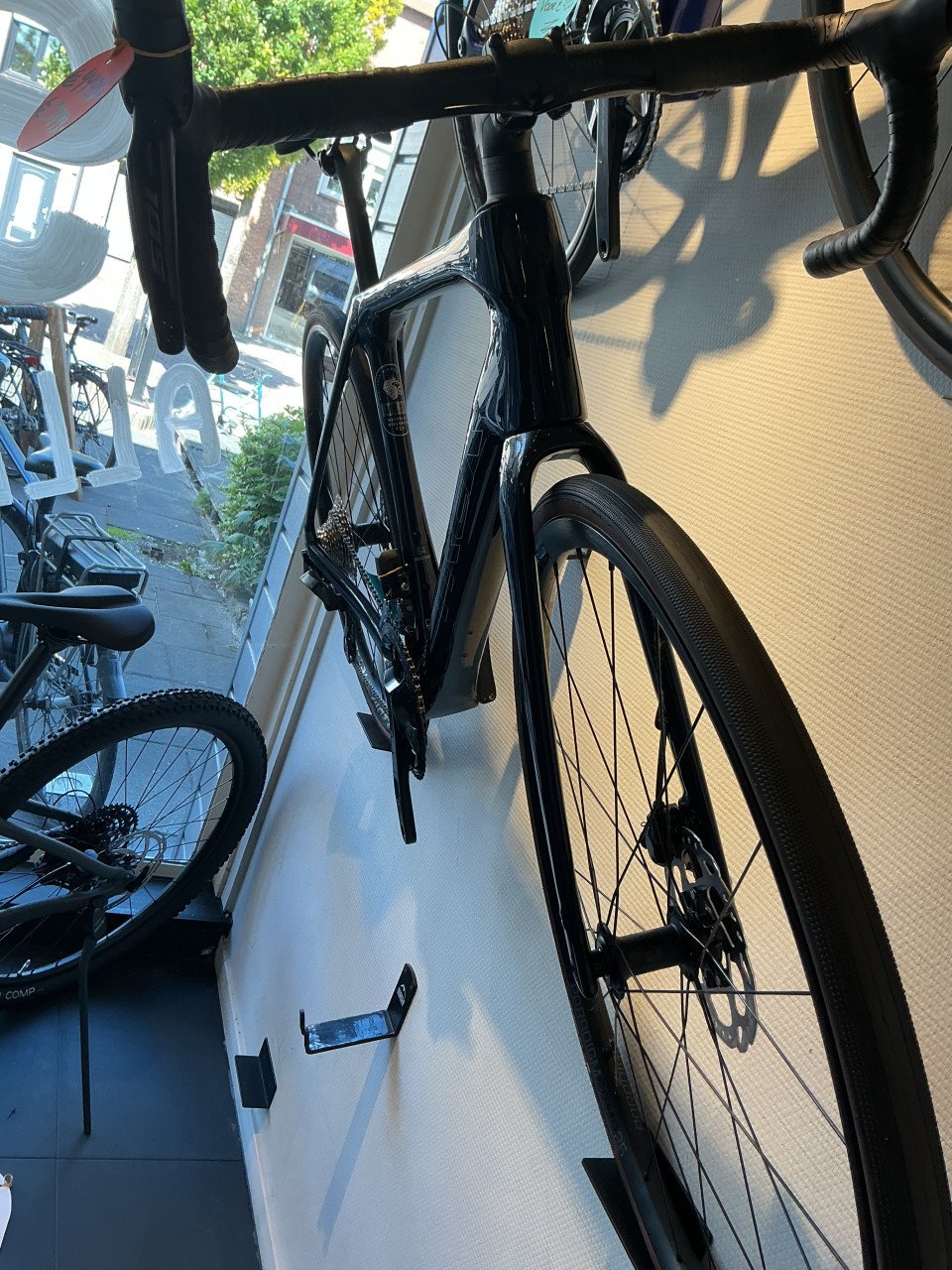 Trek Domane SL 6