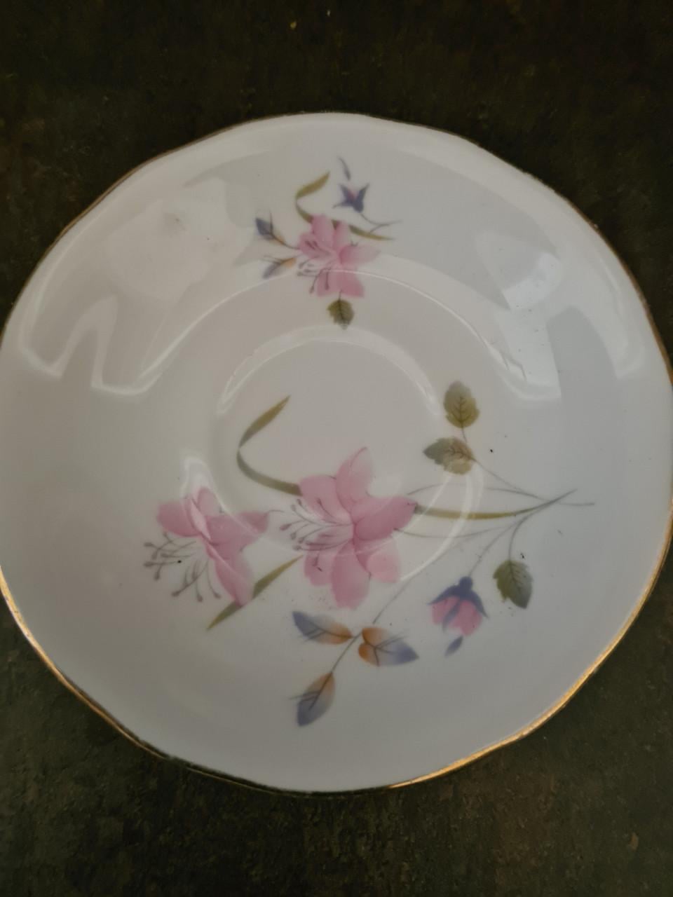 Duchess vintage handbeschilderd porseleinen kop en schotel