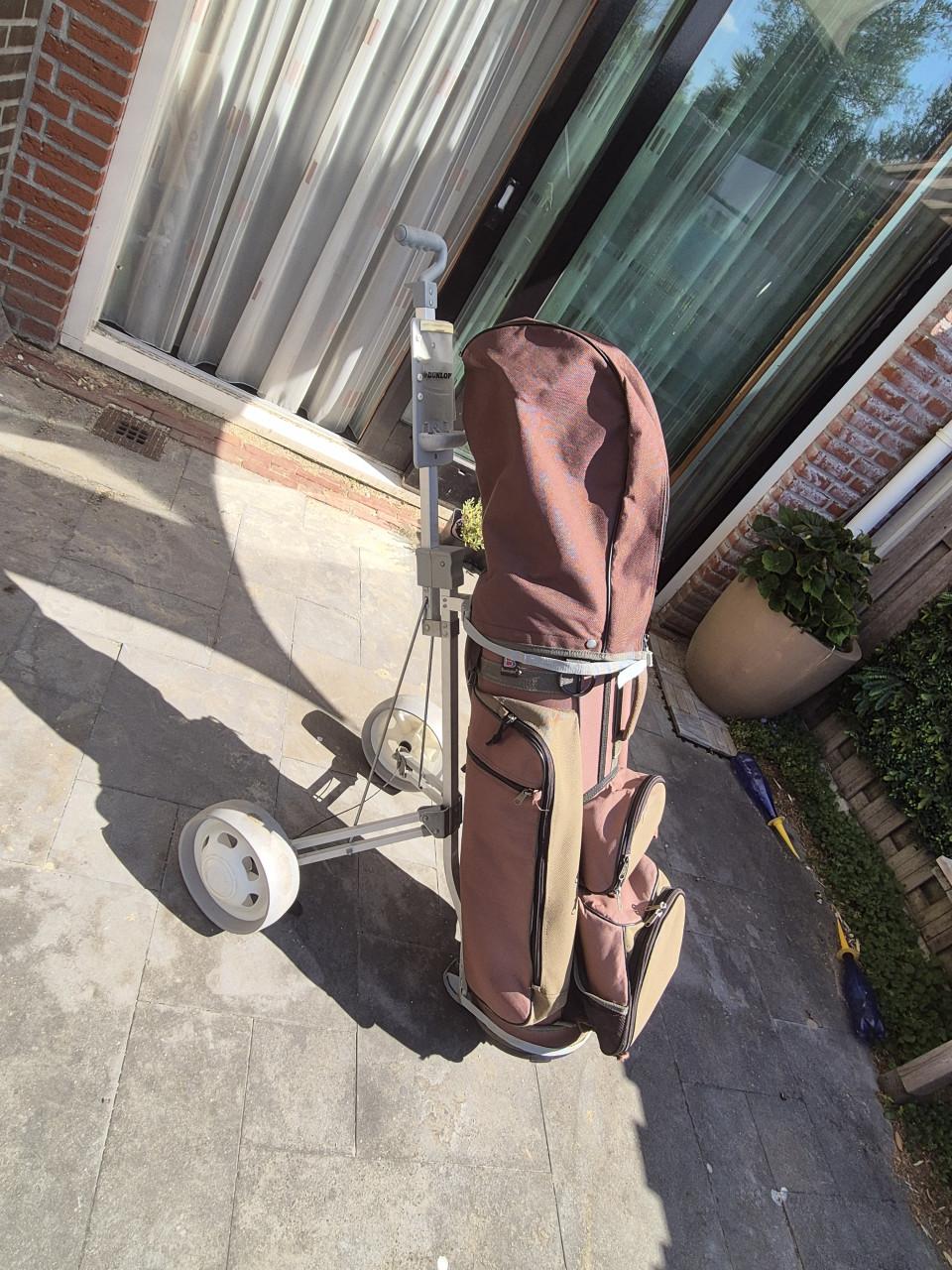 Golfkar dunlop grijs