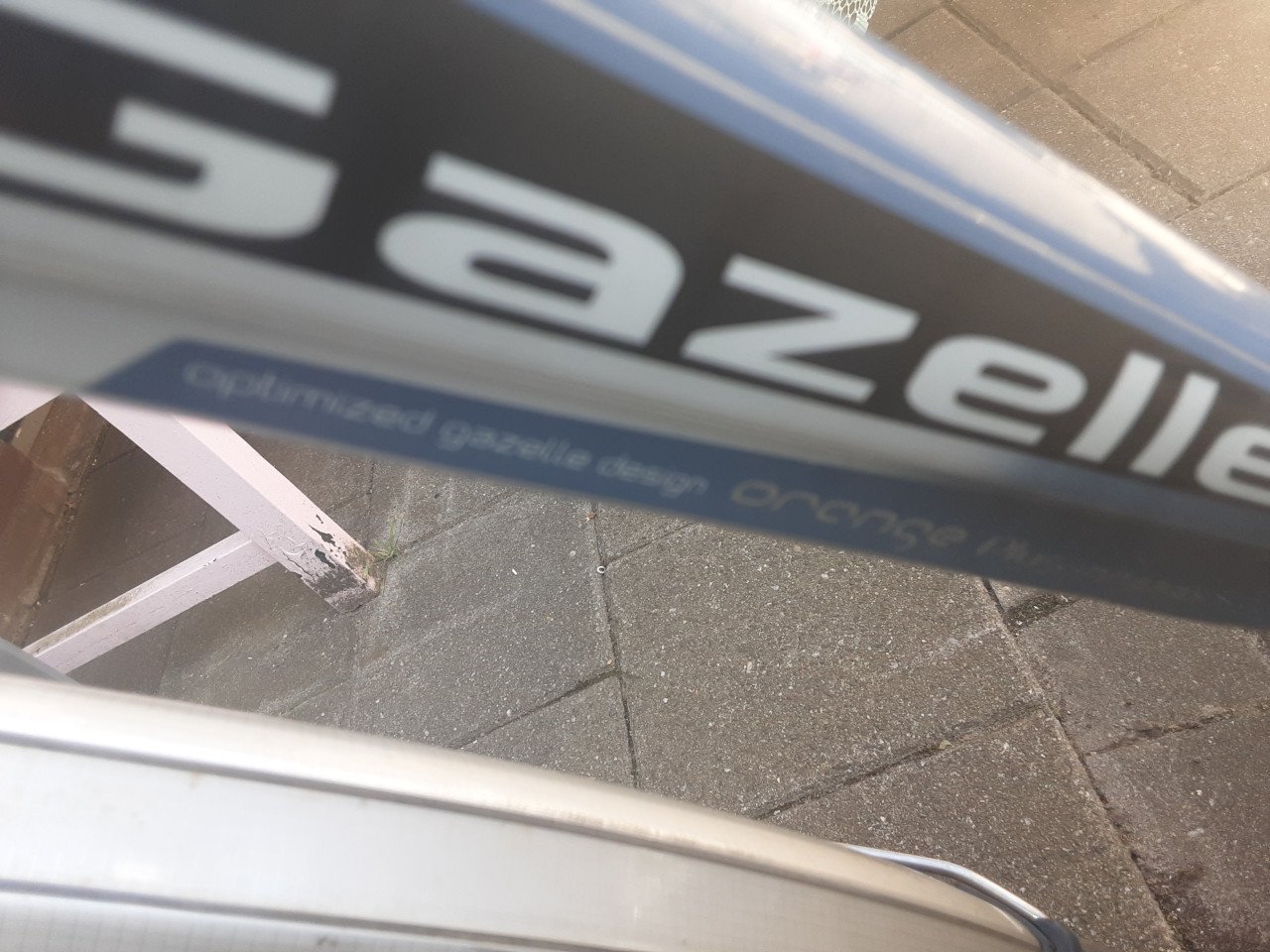 Gazelle display