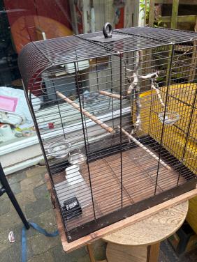 Vogelkooi
