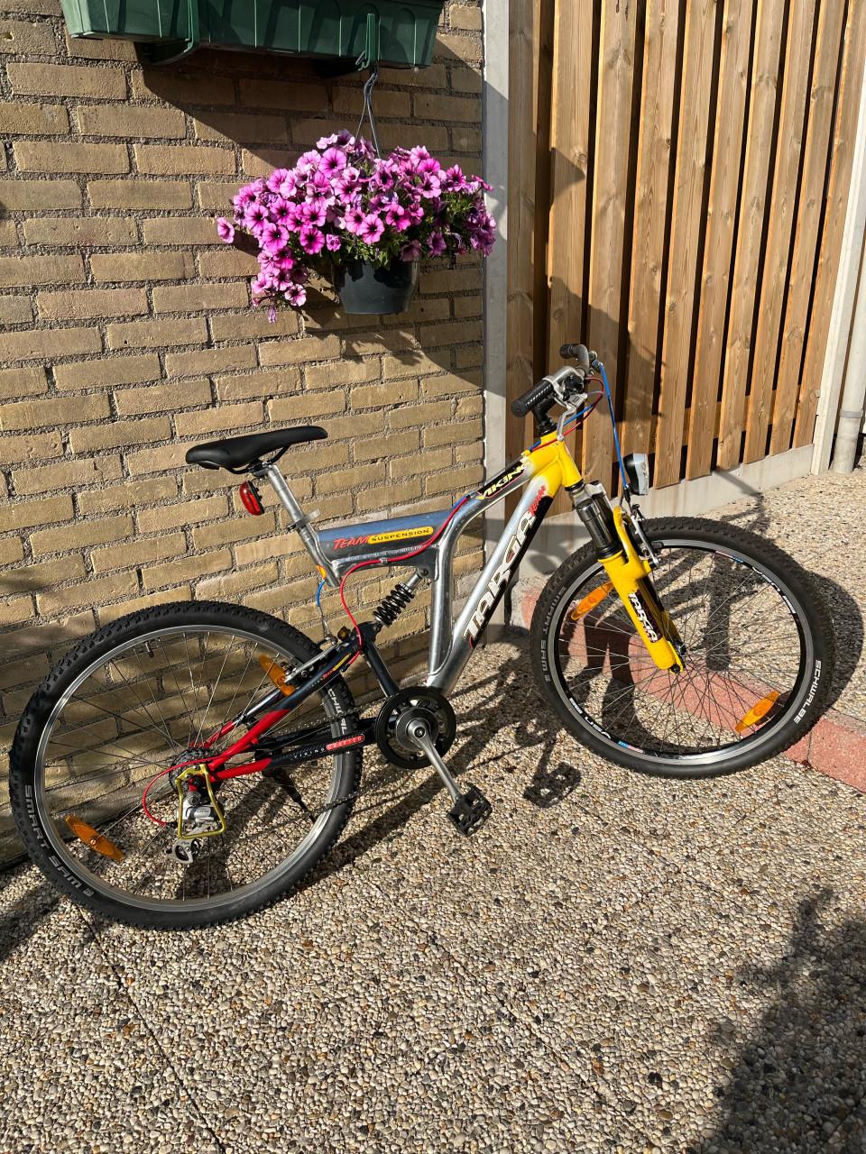 MTB TARGA Viking