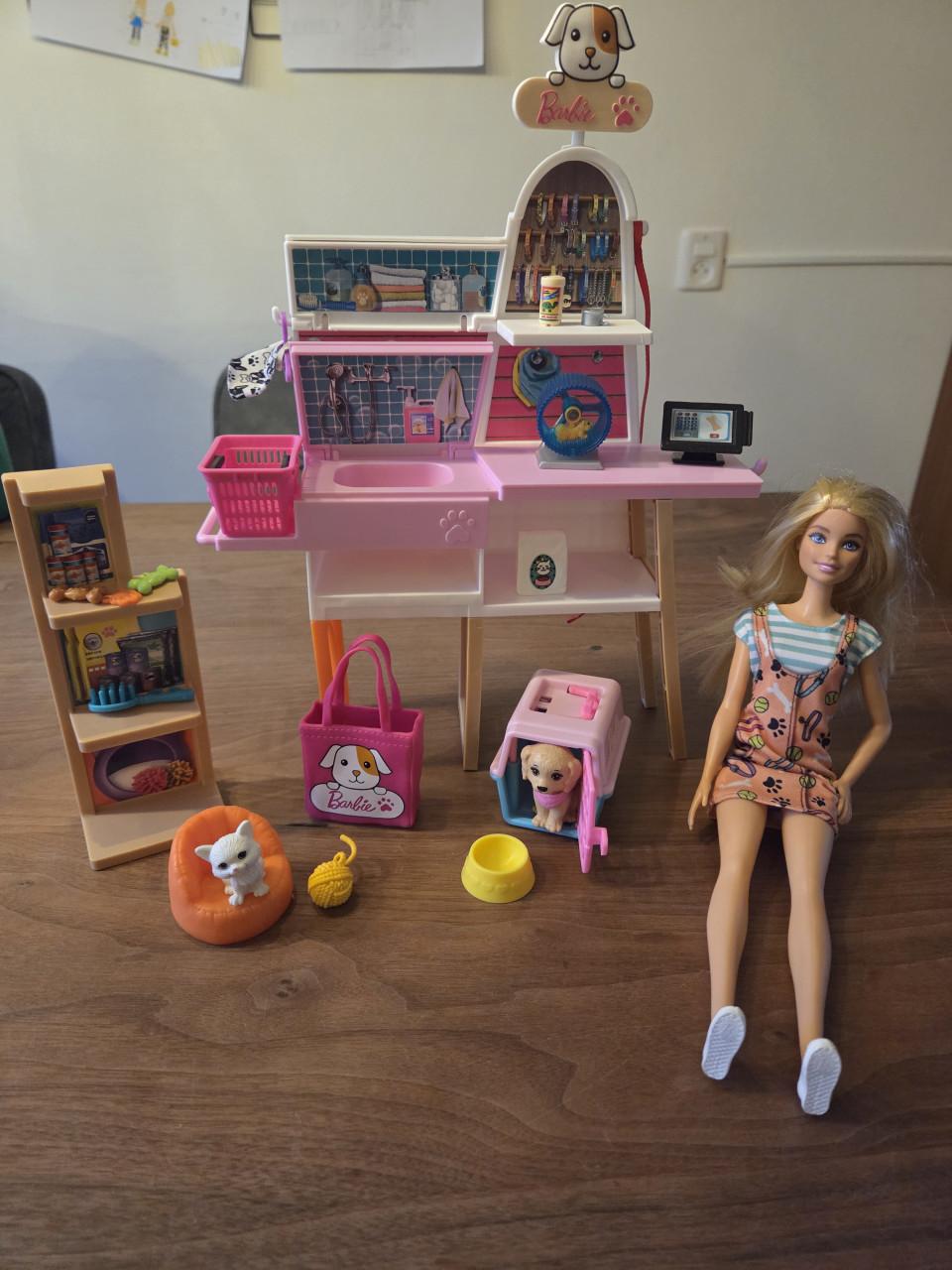 Barbies & accessoires