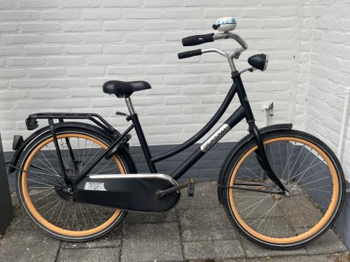 Leuke popal Meiden fiets