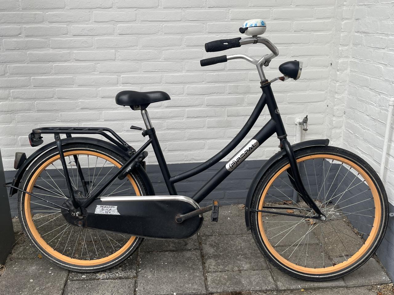Leuke popal Meiden fiets