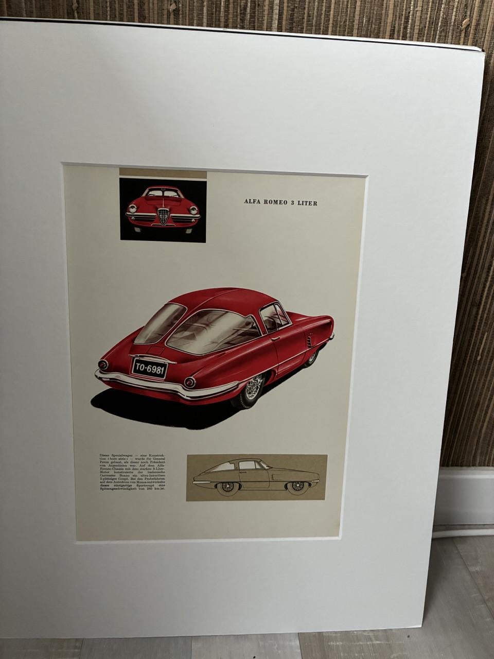 Alfa Romeo president Argentinië