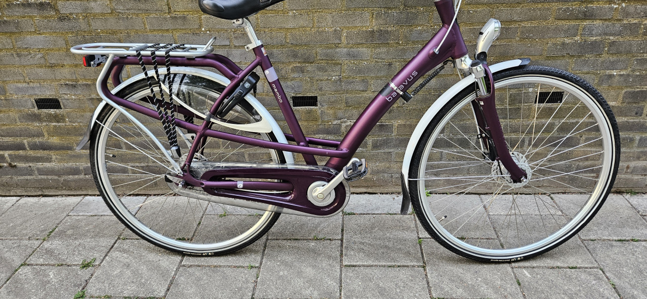 Batavus damesfiets unieke kleur