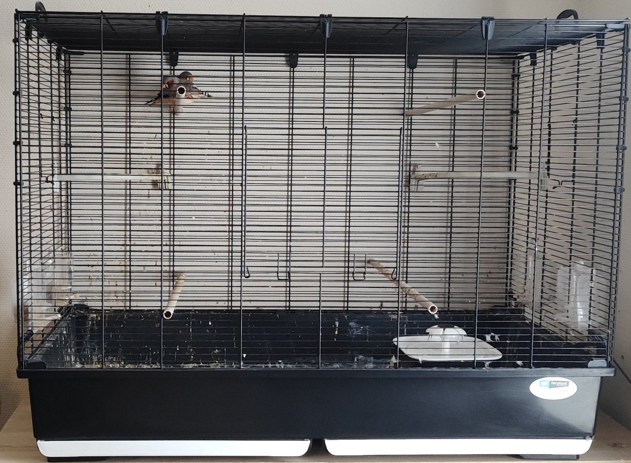 Ferplast Piano 7 vogelkooi / alles in 1