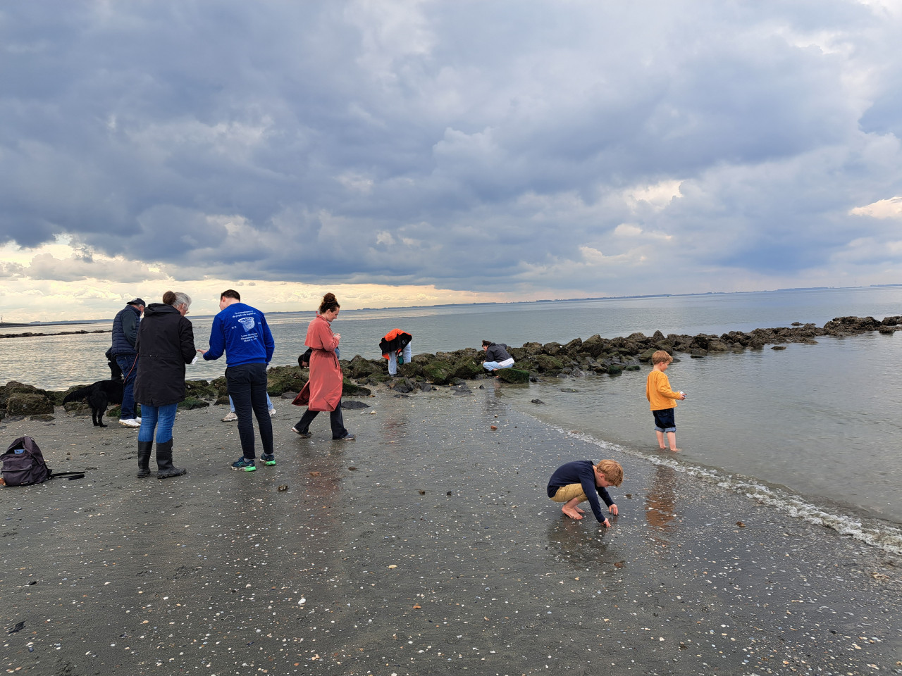 Strandexcursie haaientanden, schelpen en fossielen 19 oktober