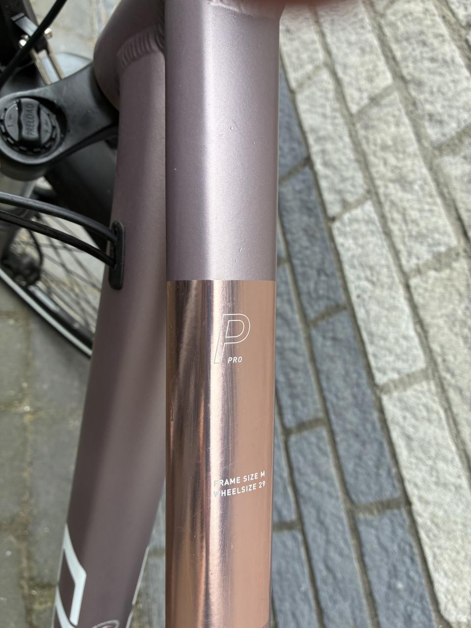 Cube MTB dames - ACCESS WS PRO SIENNA/BLUSH