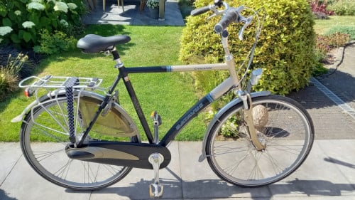Batavus crescendo