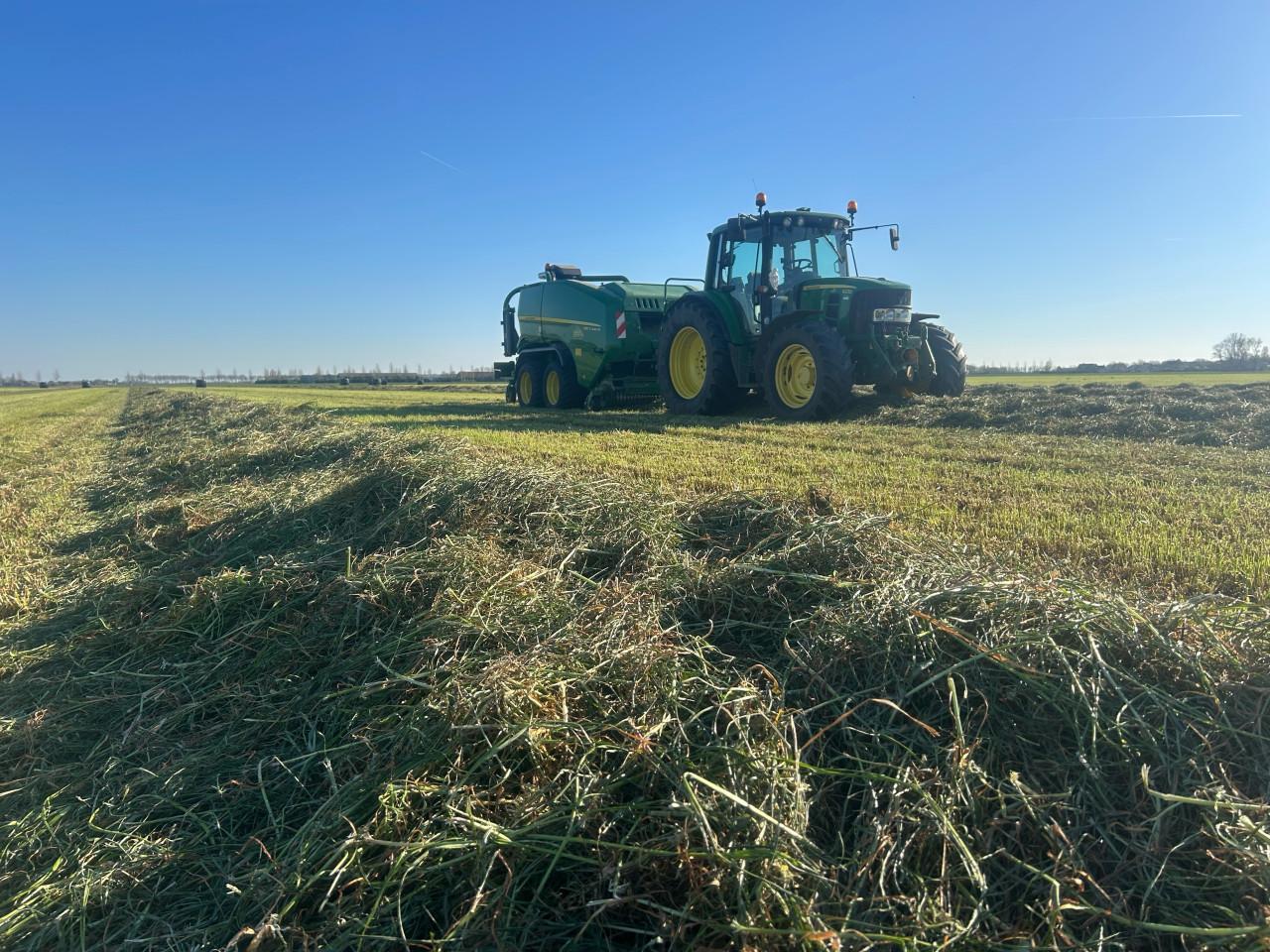 Te koop gevraagd, gras op stam en tarwe stro van land.