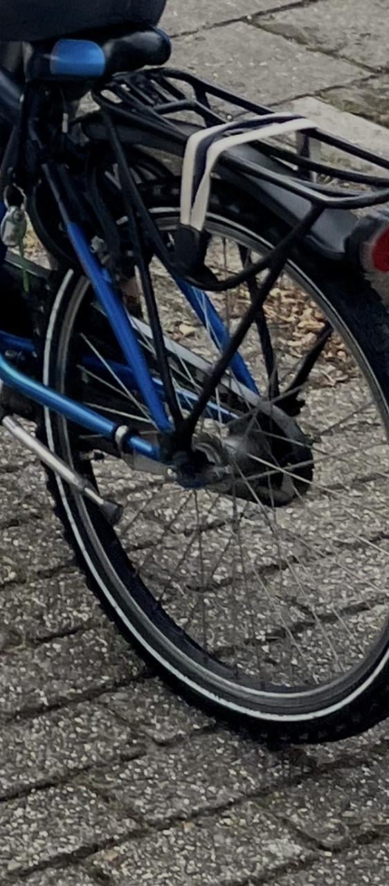 Loekie Booster 22 inch