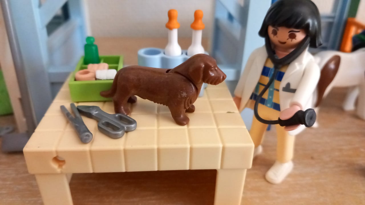 Playmobil kinderboerderij met dierenarts