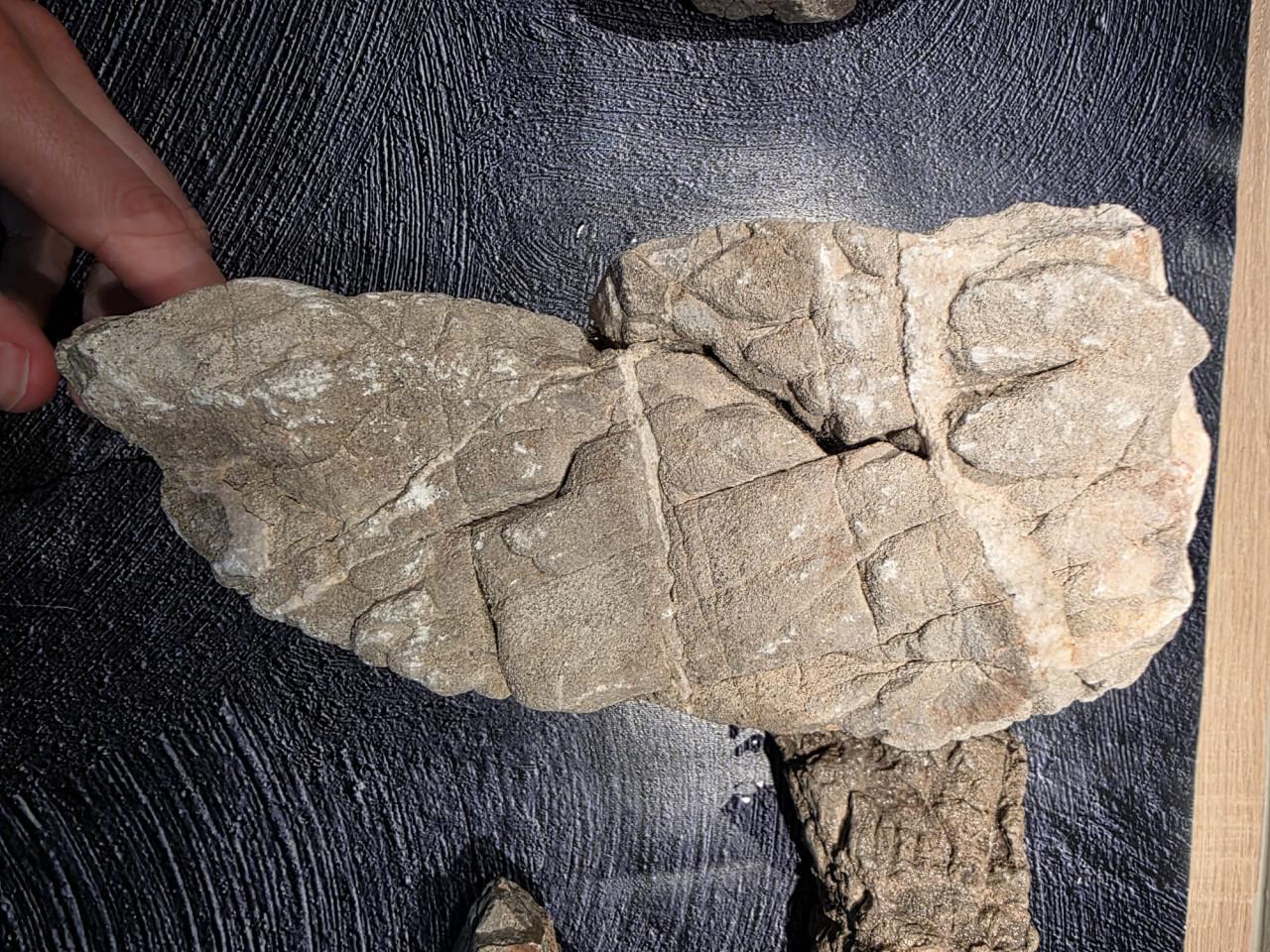 Millennium Stone, WIO. Aquascape steen, ongebruikt