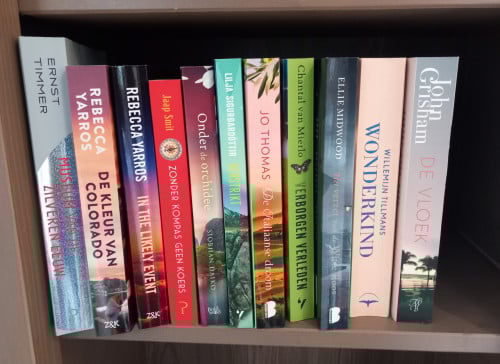 Boeken uit 2024 en 2025