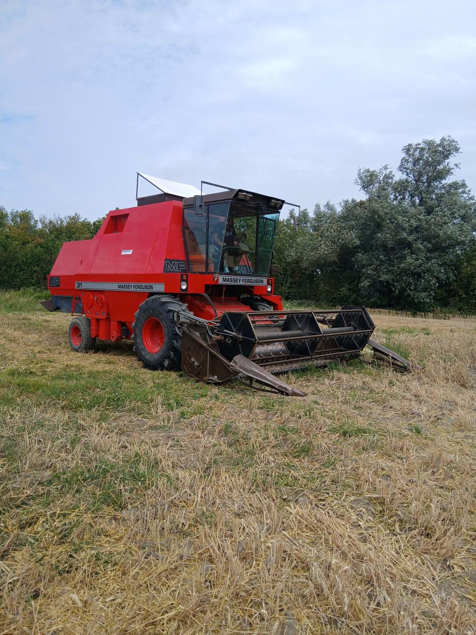 Maaidorser MF31