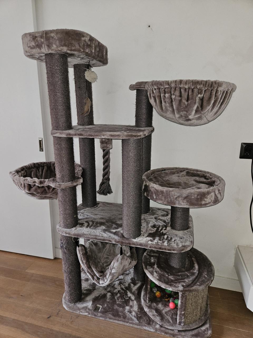 Katten krabtoren van Pet Rebels