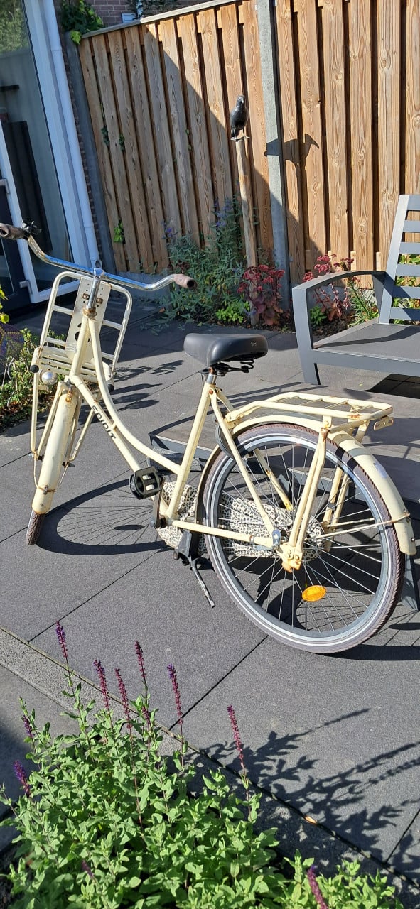 Meisjes fiets opknappertje