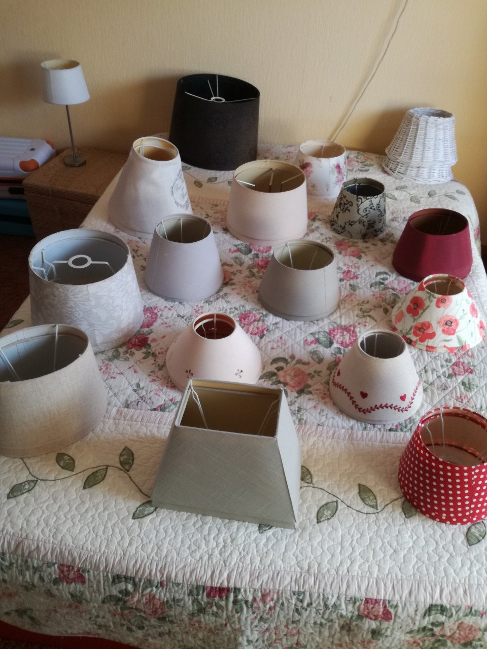 Lampenkapjes, diverse soorten