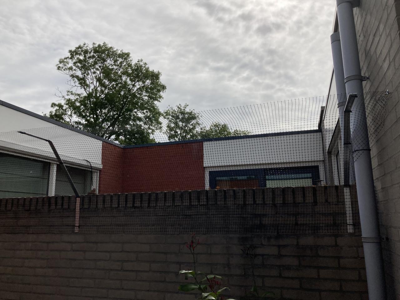 Kattenet