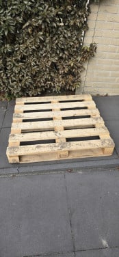 Pallet: Gratis op te halen!