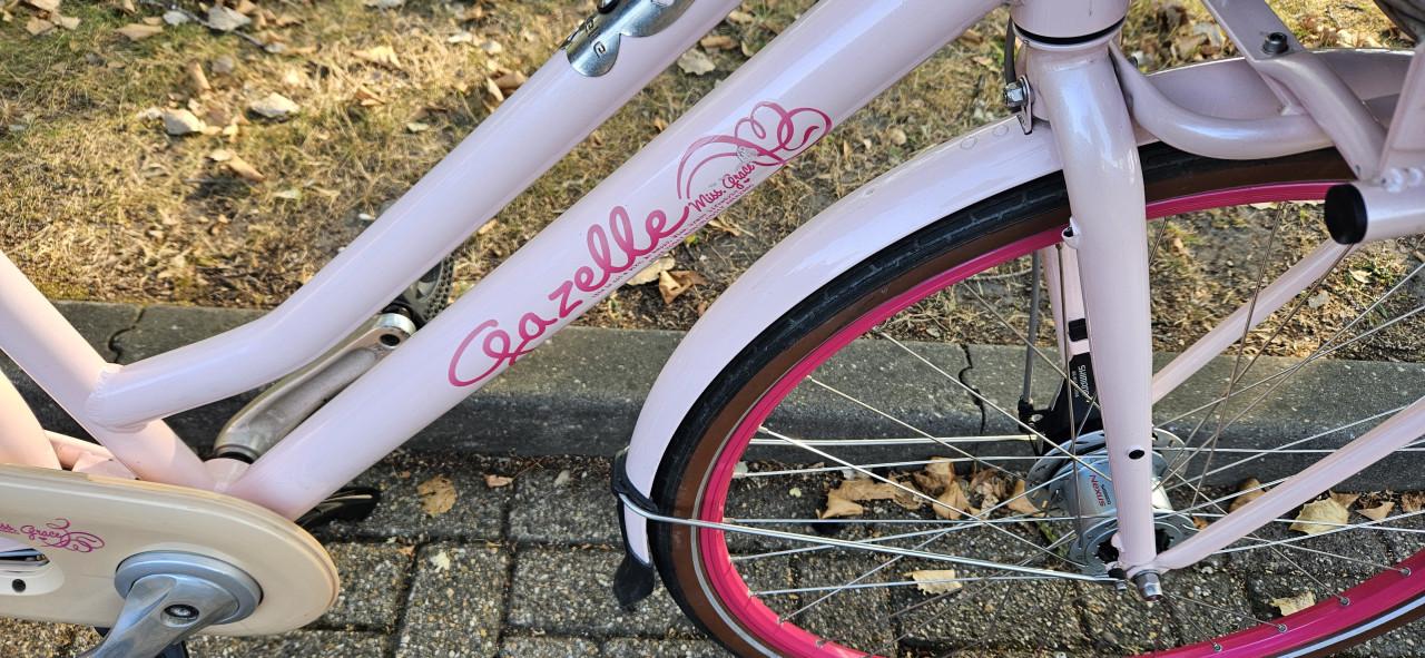 Gazelle Miss Grace Unieke Roze damesfiets