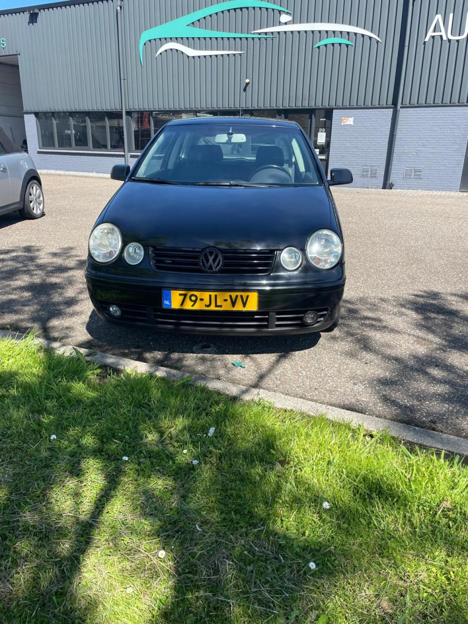 VW Polo