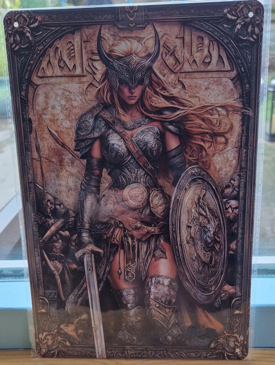 Blikken bord viking serie