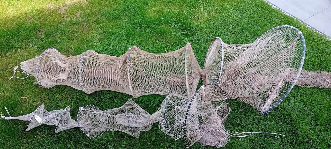 1 grote en 1 kleinere visfuiken.