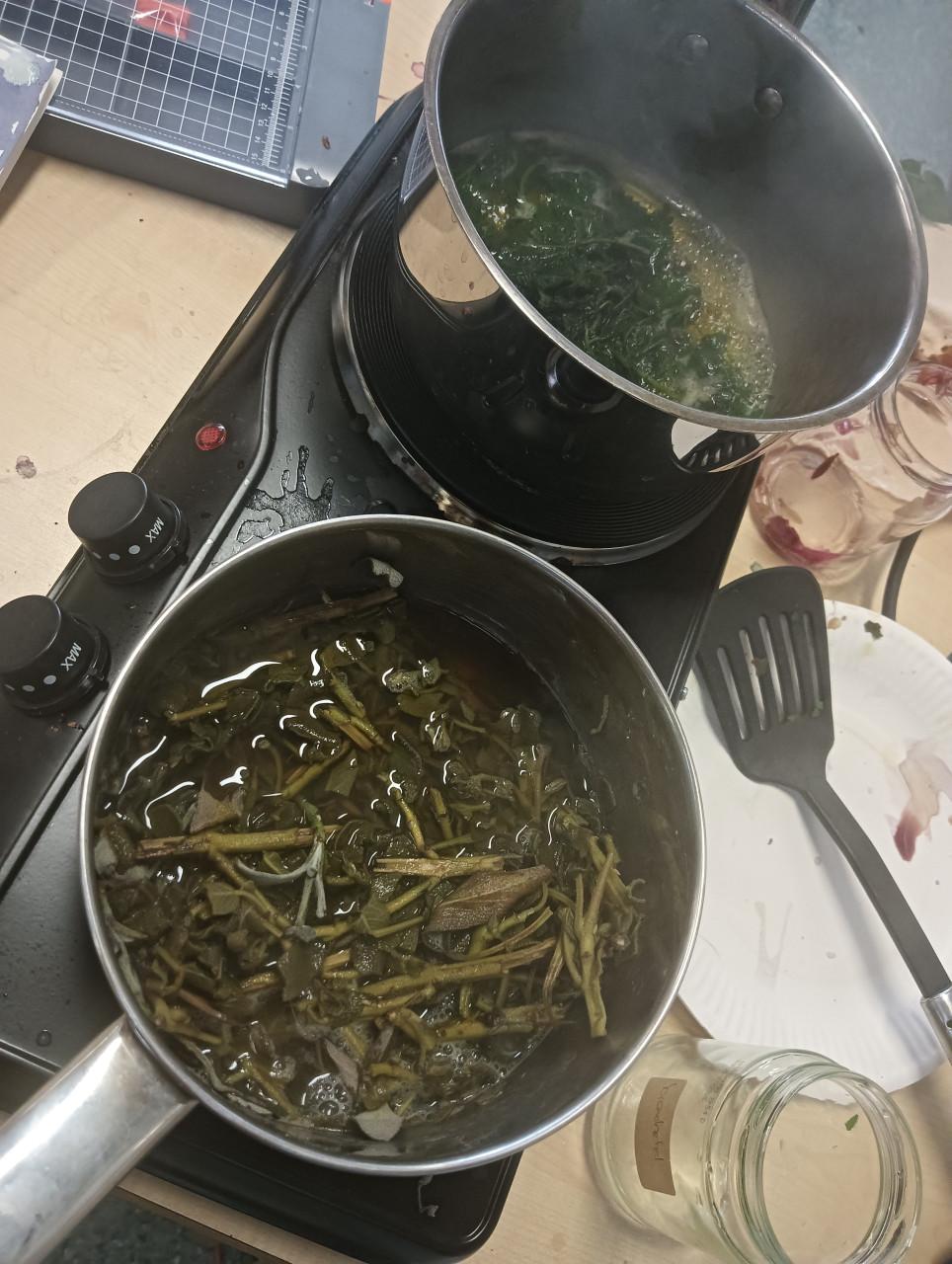 Wildplukwinterwandeling